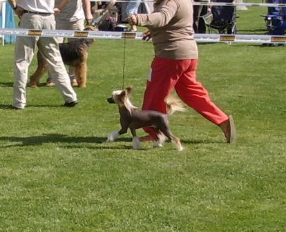 Sasquehanna Czarnoksieznik