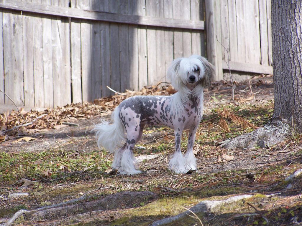 Faetura Bliss Of Another Kind