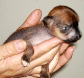 Butterfly Lady of the Queens Club