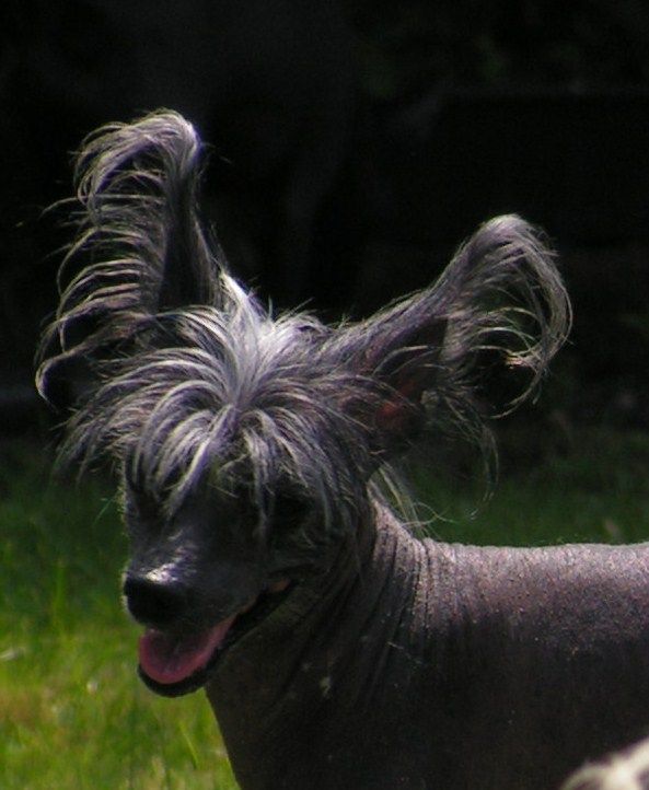 Blandora That's My Boy