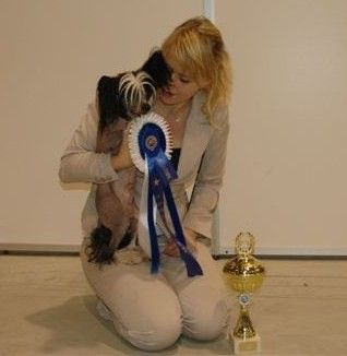 Daretobebare Mr Tapscott