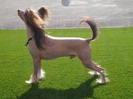 Atreju Bezedna propast