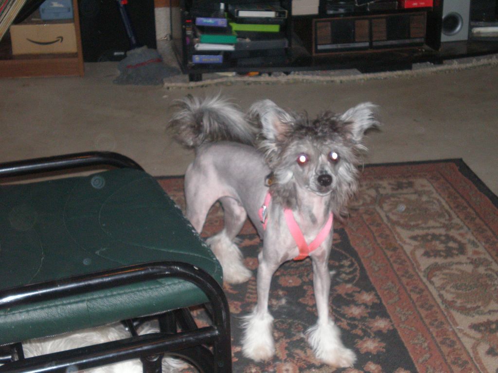 Mstical Diamond Mieko