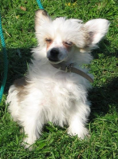 Baby Danielova volba