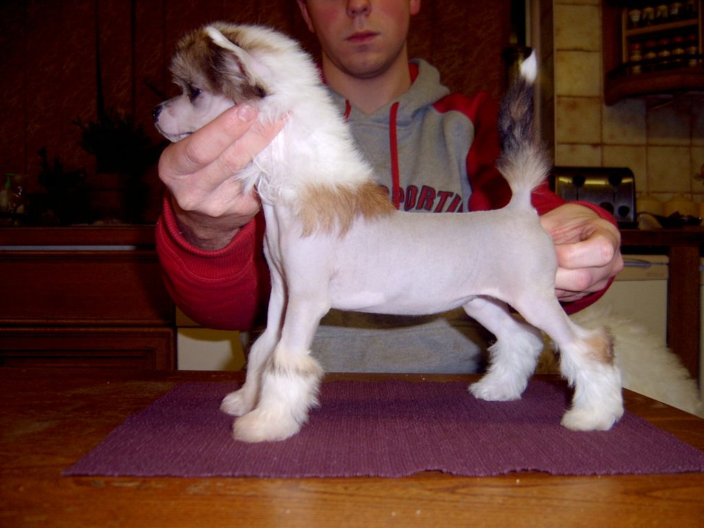 Vanitonia Am I Bothered