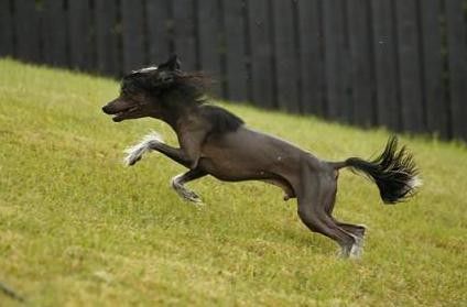 Absolute Souls Get off my back