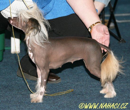 Aaliyah  ze Zrnka písku