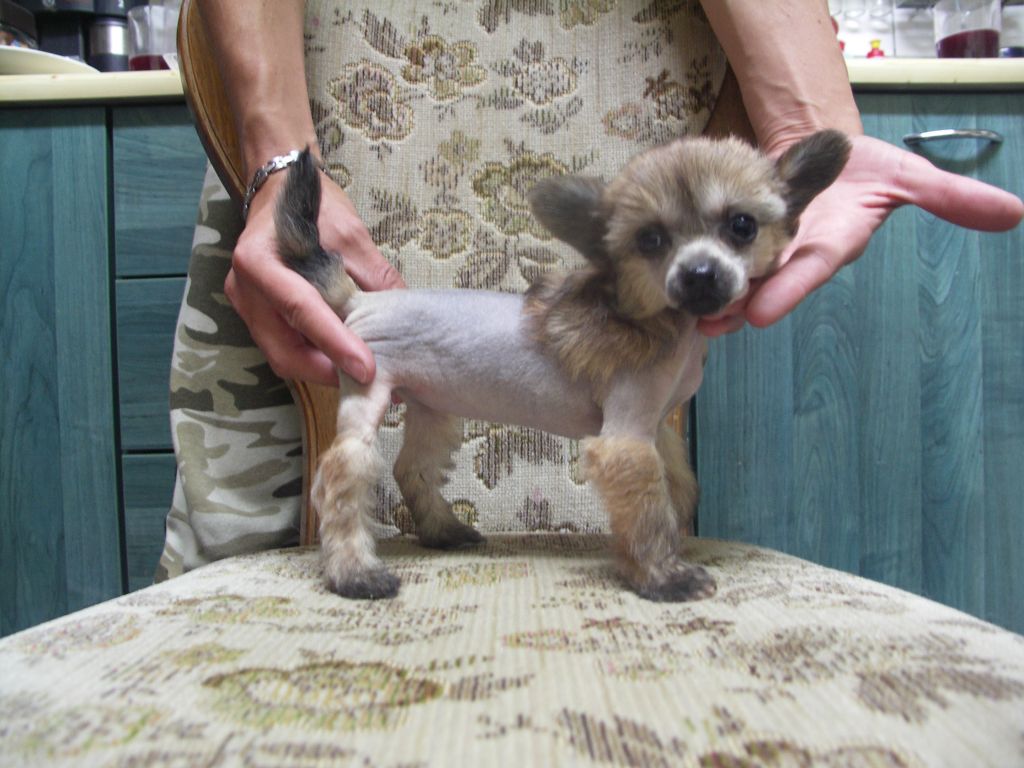 Arrieta ze Zrnka písku