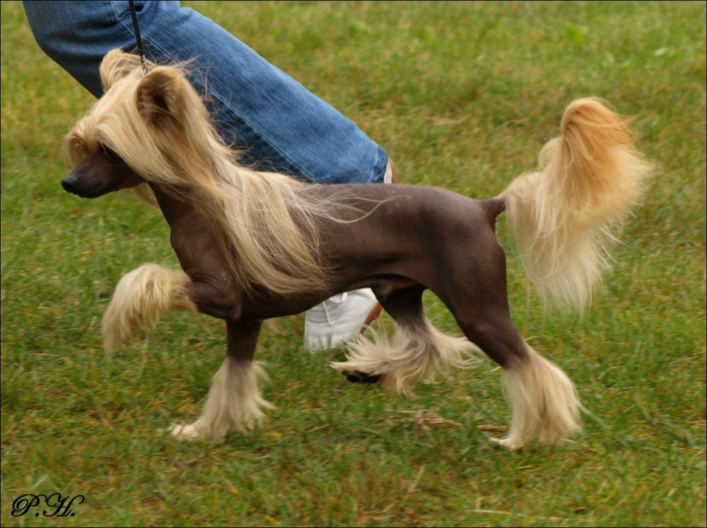 Attivan ze Zrnka písku