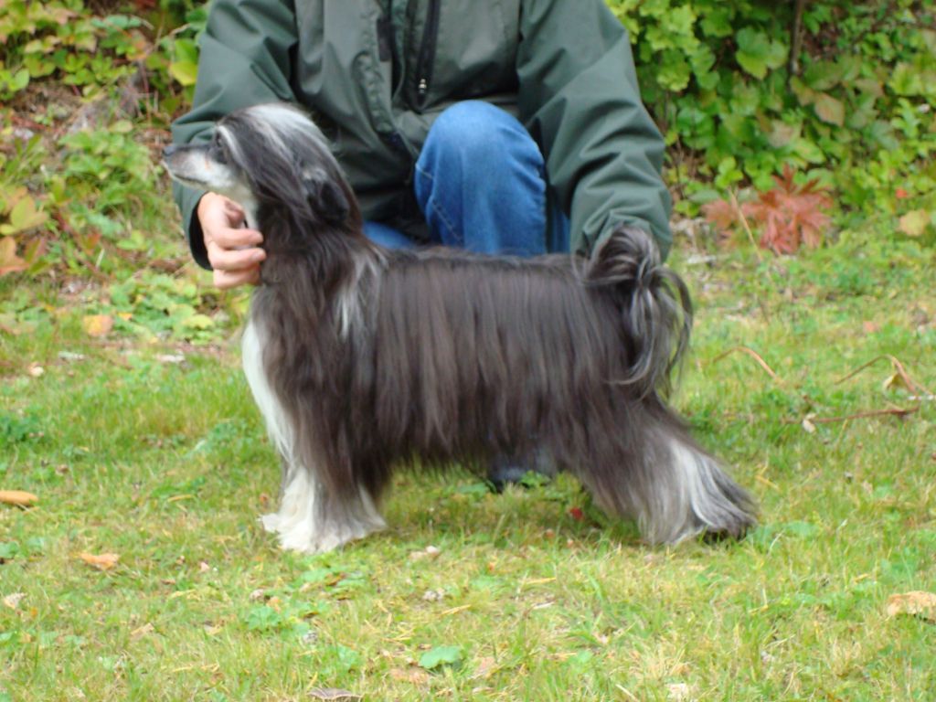 Carann's Flower Power