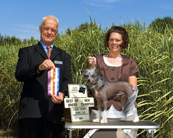 Dizzy Dollies Kwan Yin