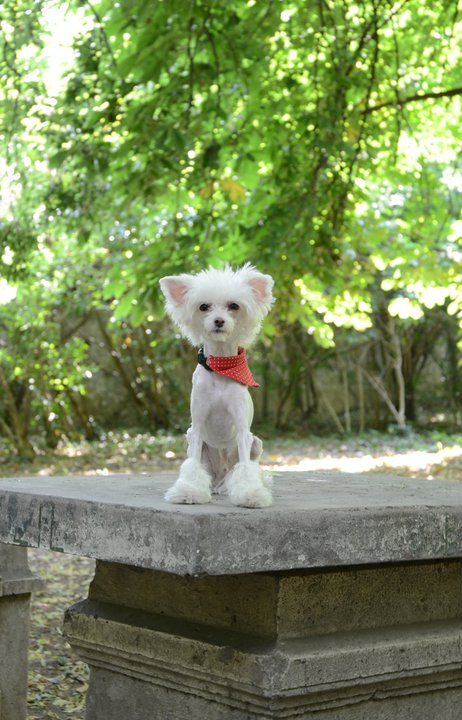 Erand Albert Einstein