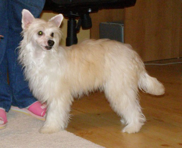 Erand Access To Success