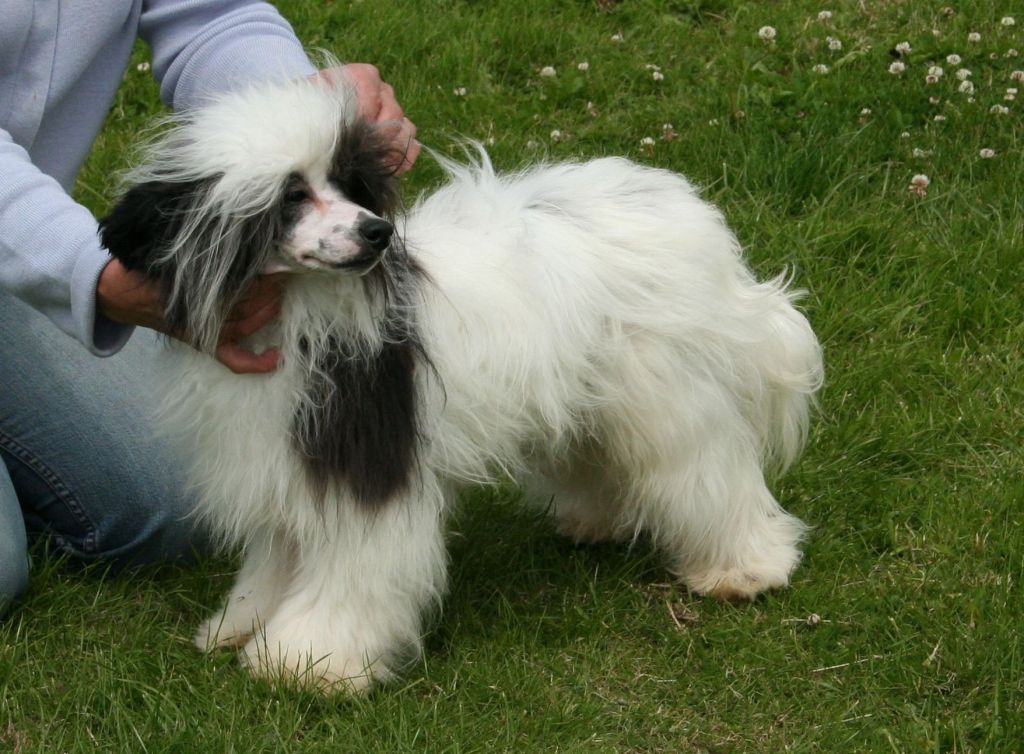 Tamarsh Special Bizness 