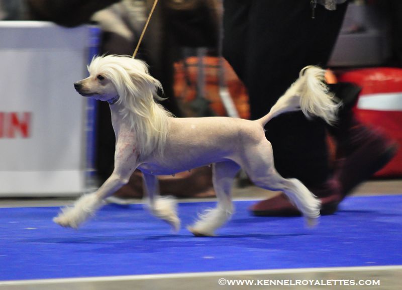 Zhannel's Desiree Doll