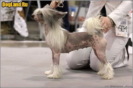 Styled by Royality N'Co