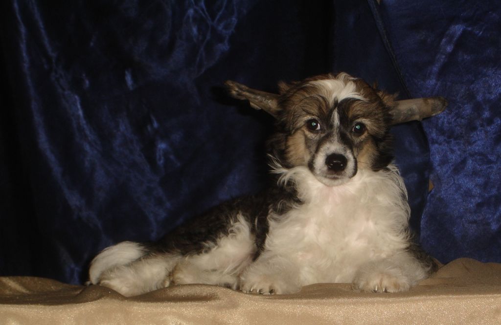 Rouber Balt Etalon San