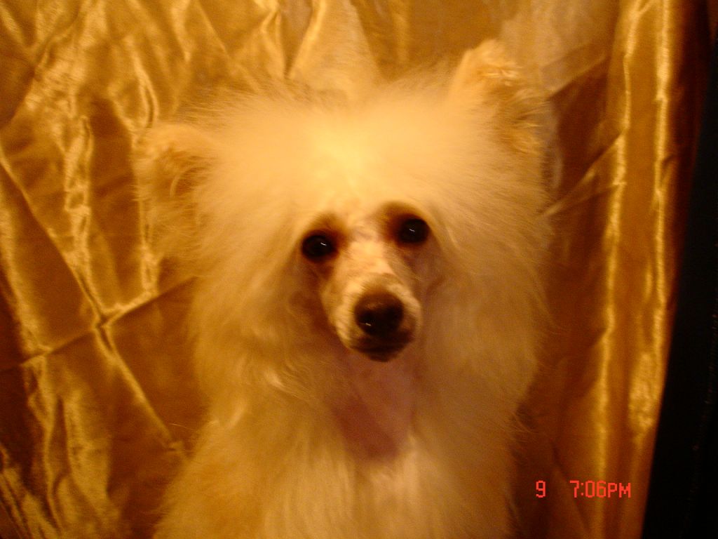 Rouber Balt Maxvell Mit