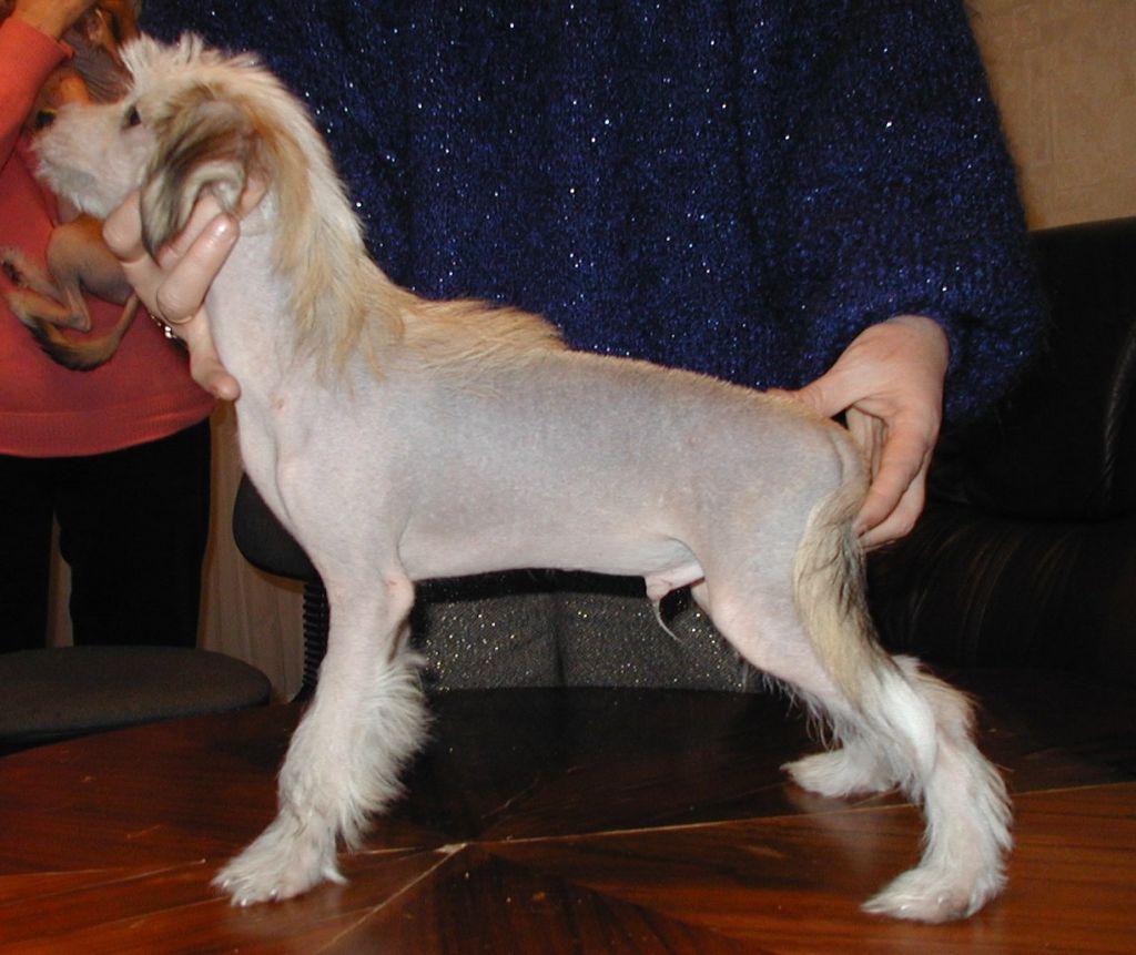 Li-Yola Renuar Rouber Zlat