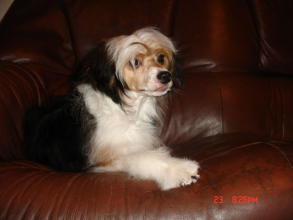 Rouber Balt Forvard Li