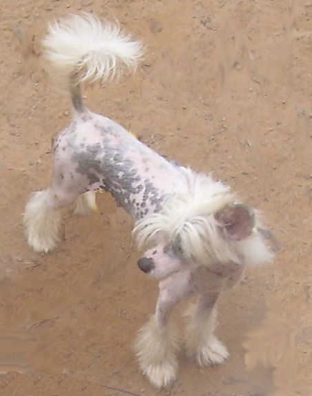 Mstical Rains on Your Parade