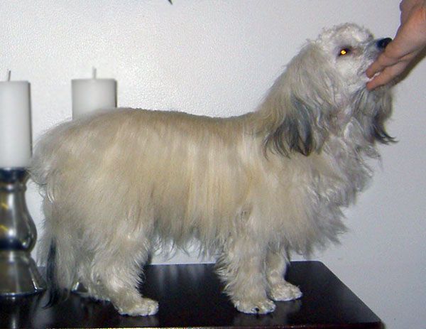 Kuminaaman FantaCola