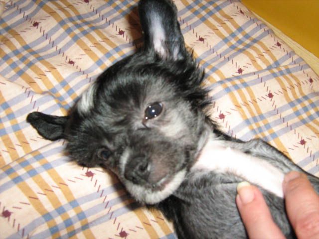 Jettafon's Believe Me Too