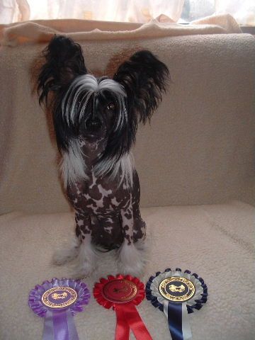 Cutecoots Ruby Tuesday