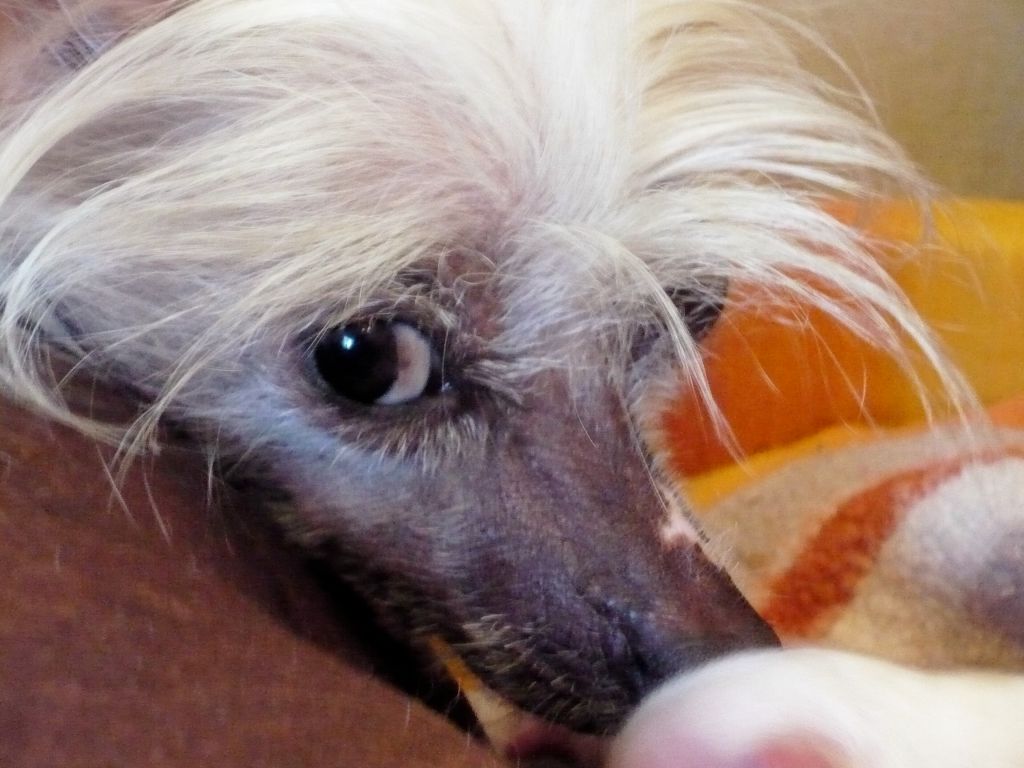 Shakira To Wonderful Wind Of Dream's