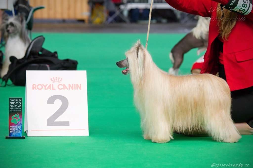 Darrsy Plysovy pritel