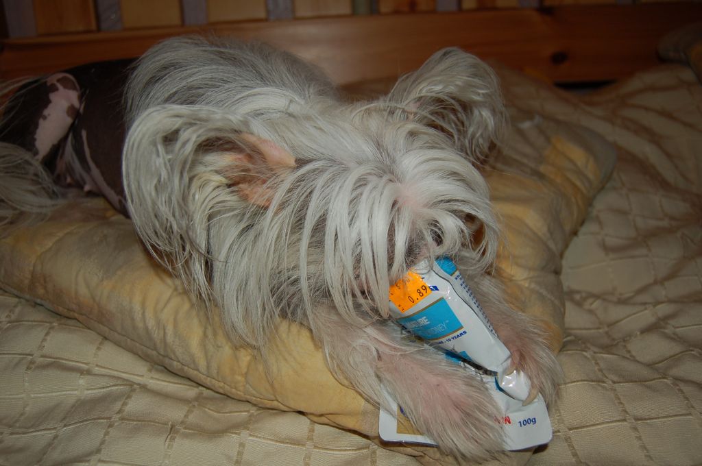 Gabriella My Love Favorits