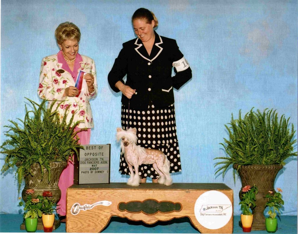 Obies Bare Naked Dreams