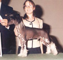 Edelweiss Happy Days