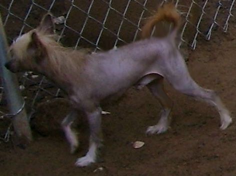 Mstical Boy Named Su