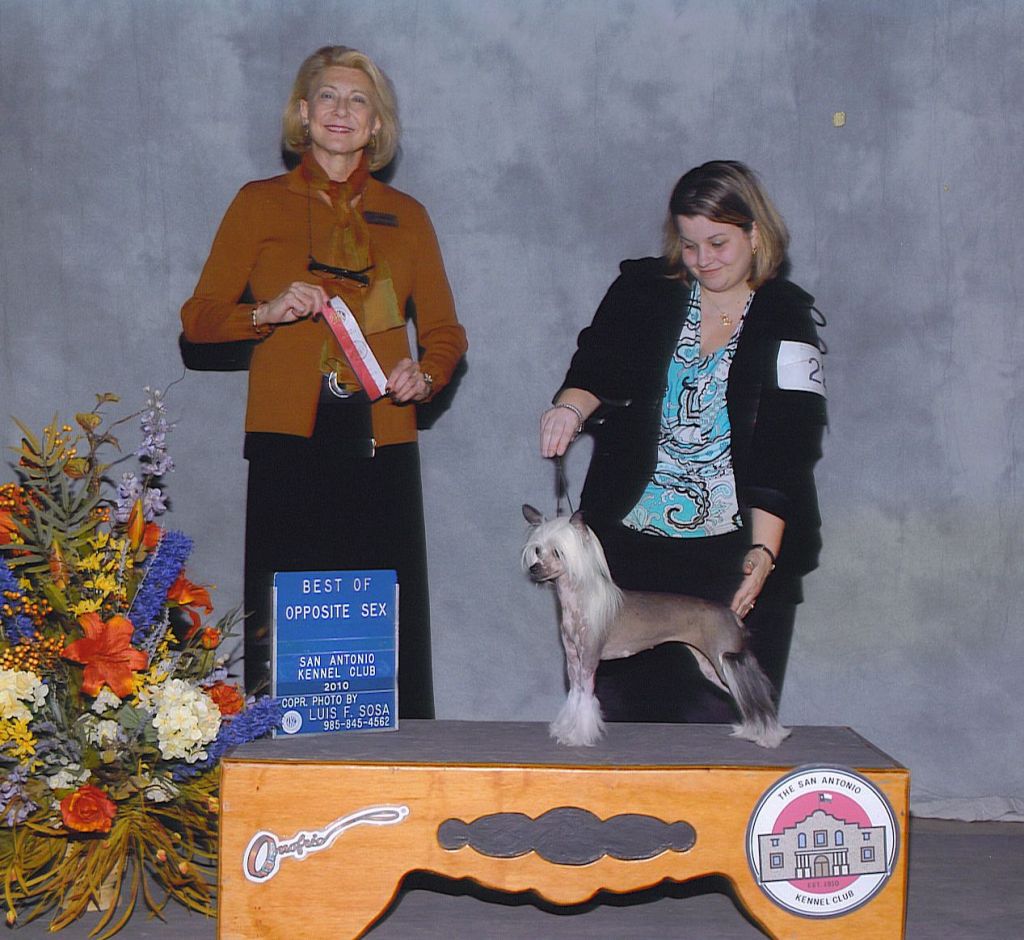 Hi-Life's Geisha Girl of Dasha