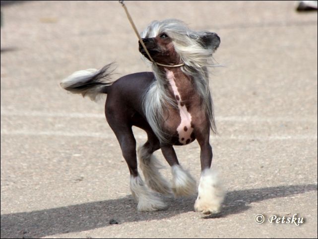 Bai Long's Eye-Catching Ellie