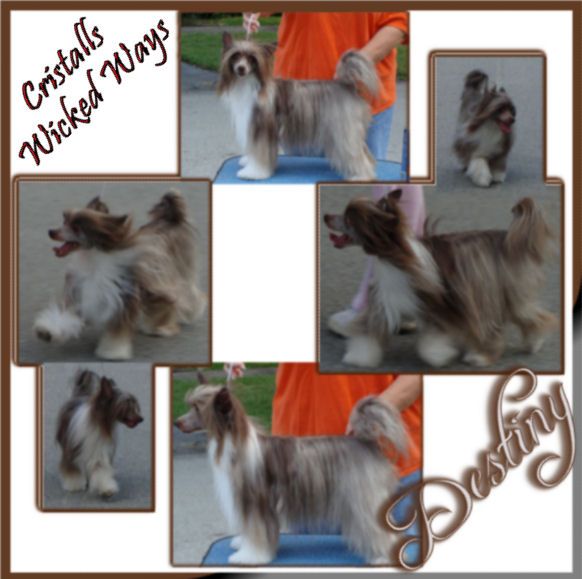 Cristalls Wicked Ways