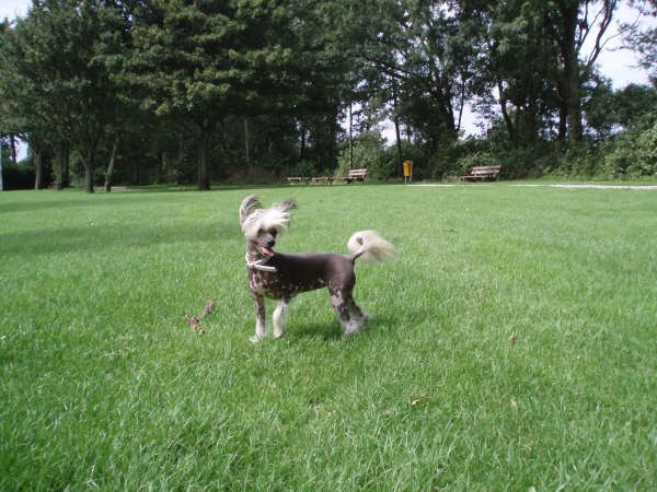 Don't Judge Me of Angel's Legacy