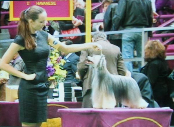 Back to Black Poarott