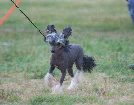 Magic'N Mystic Haunted souls