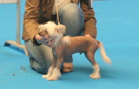 Body white de Almamasan