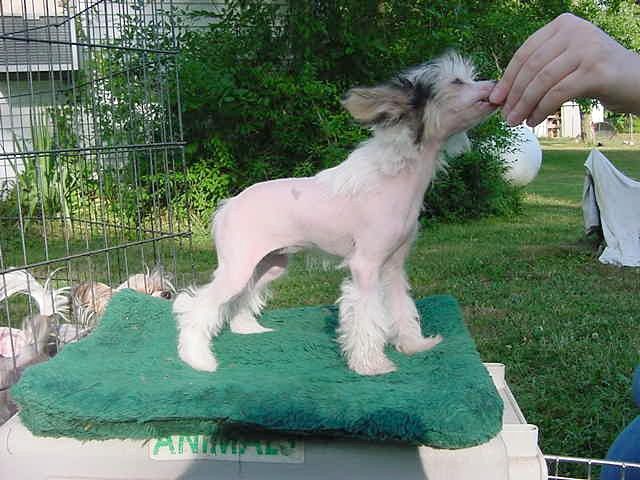 Sakkarra Thats What I Thought!