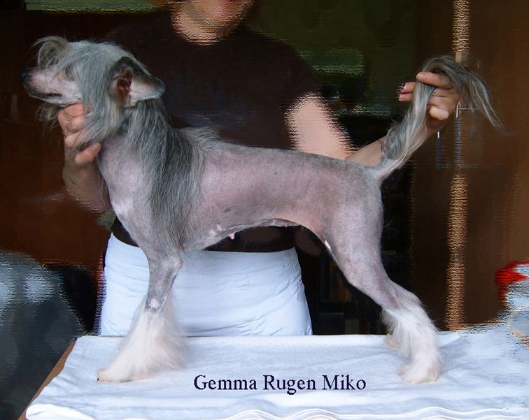 Gemma Rugen Miko