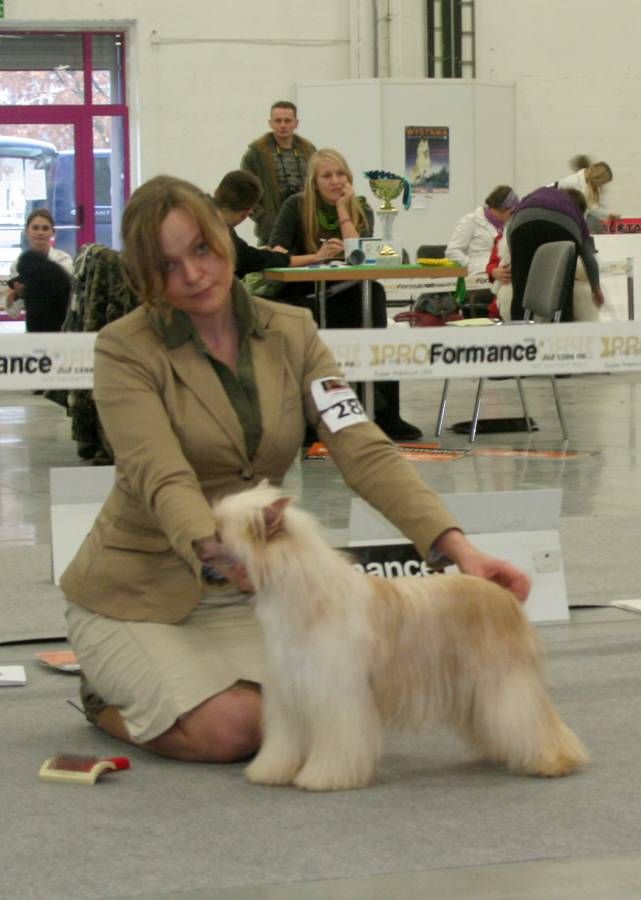 Rewelacja Capo Vaticano