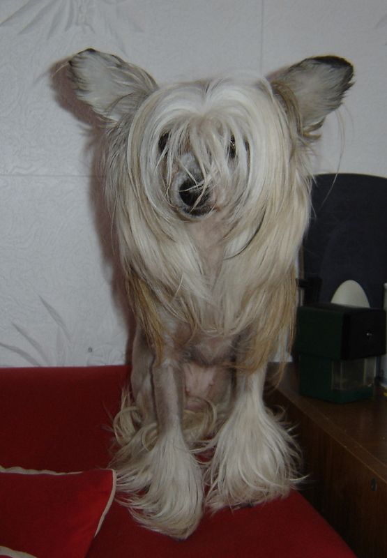 Avoriaz Aversa Appleberry