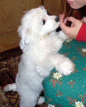 Alessia Aura Appleberry