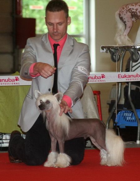 Twice as Nice Make Some Noise