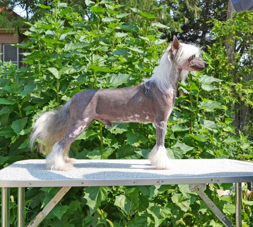 A Valid Request 4-Reil