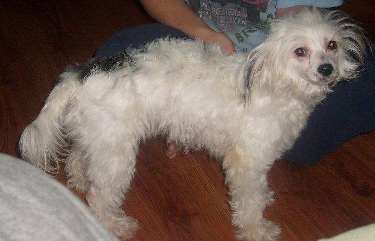 Nonie's Amazing Grace