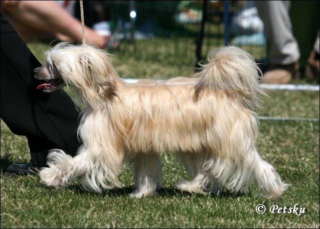 De La Mahafu's Model Fantasy